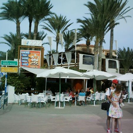 La Rosaleda Apartment Torrevieja Ngoại thất bức ảnh